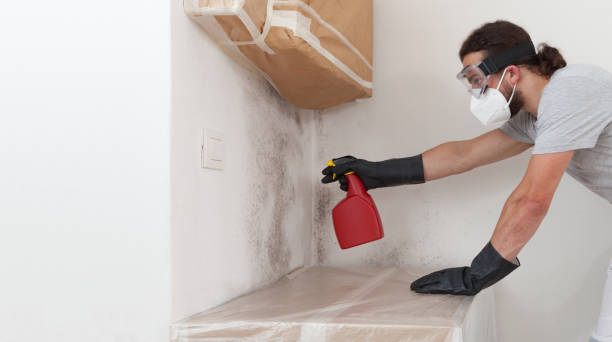 Professional Mold Removal technician working in East Freedom, PA